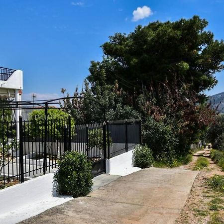 Μονοκατοικία Δίπλα Στην Θάλασσα Salamis Exterior photo